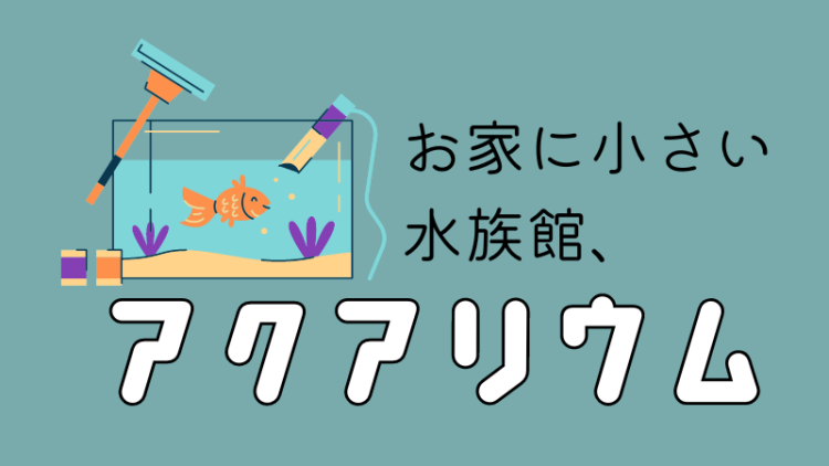 お家に小さい水族館、アクアリウム